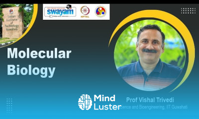Molecular Biology Fundamentals