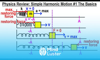 Harmonic Motion Basics