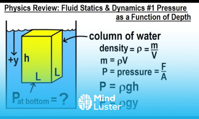 Fluid Statics and Dynamics