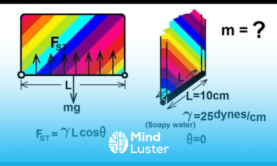 Surface Tension in Fluids