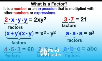 Factoring in Algebra