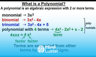 Polynomials in Algebra