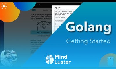 Golang Variables Fundamentals