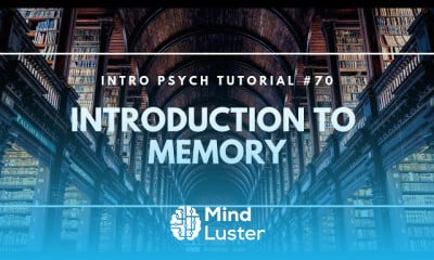 Memory Improvement Techniques
