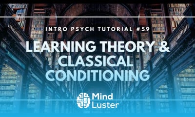 Learning Theory in Psychology