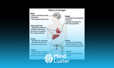 Gestation Diabetes For Women