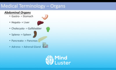 Ophthalmology Fundamentals
