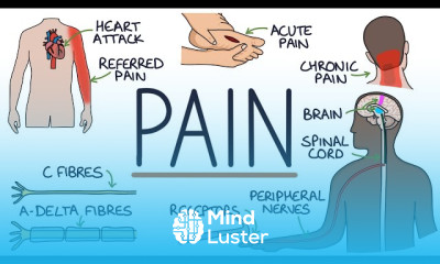 Dermatomyositis Skin treatment