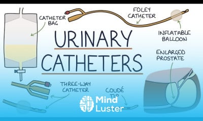 Urinary Tract Infections Treatment