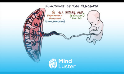 Anti D in Pregnancy for Women