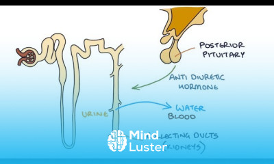 Hyperkalaemia Therapies