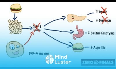 Monoclonal Antibodies in Infectious Diseases