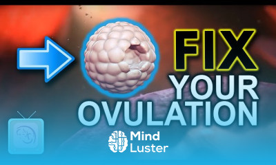 Ovulation problems and fertility treatment