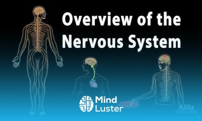 Neuroscience basics and Neuroglia Functions