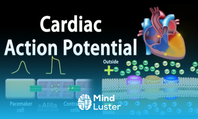 Acute Coronary Syndrome