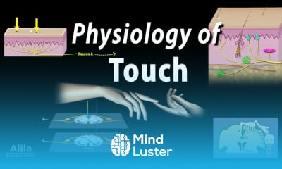 Vertigo Causes and Treatments