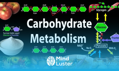 Hypermagnesemia Symptoms and Treatment