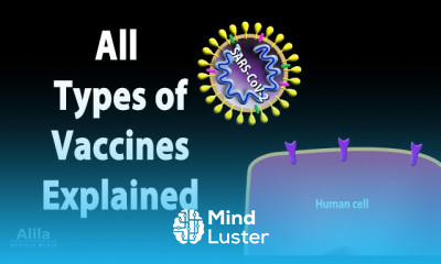 mRNA Vaccines Mechanisms and Development