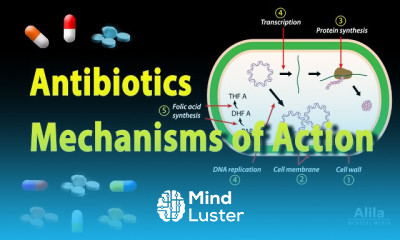 Antibiotics Mechanisms of Action