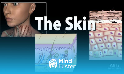 Psoriasis Symptoms and Treatment