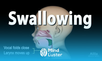 Vertigo Symptoms and Treatments