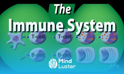 Allergy Diagnosis and Treatment