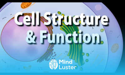 Cell Biology Techniques
