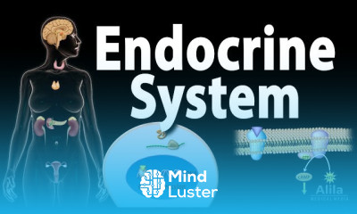 Pancreatitis acute and Chronic