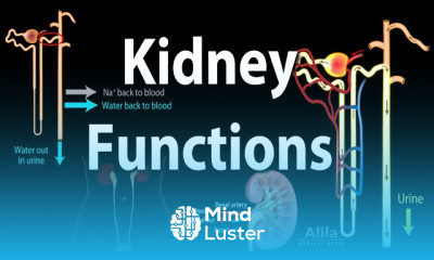 Uremia Symptoms and Treatment