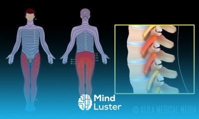 Sciatica symptoms and treatment