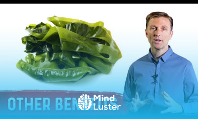 Sea Kelp Benefits for Health