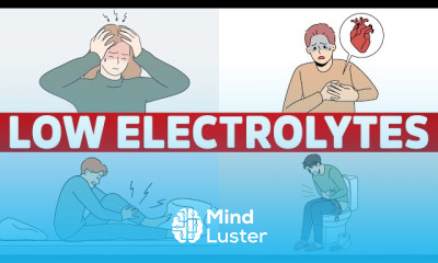 Electrolyte Benefits and Purposes