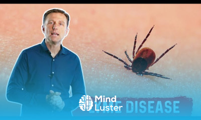 Lyme Disease Symptoms and Natural Remedies