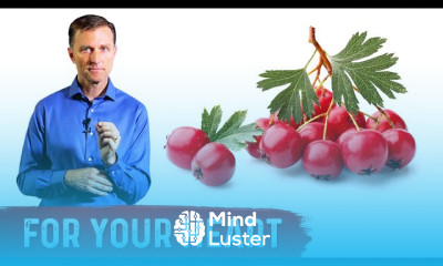 Hawthorn Berry Benefits