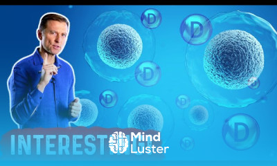 Counter Obesogens Strategies