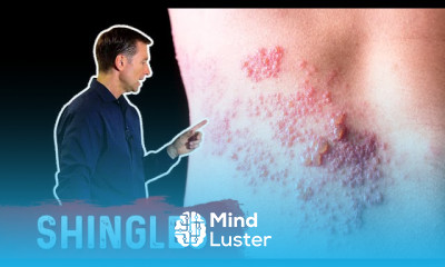 Bee Pollen Benefits in Health