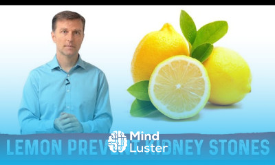 Oxalate Kidney Stones Causes