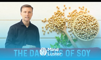 Soy dangers in Body and Health