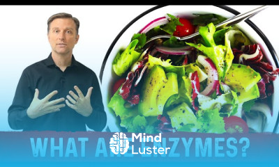 Inflamed Digestive System Causes