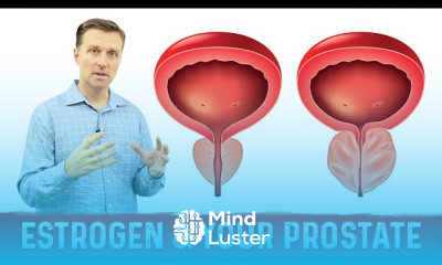 Human growth hormone functions and benefits