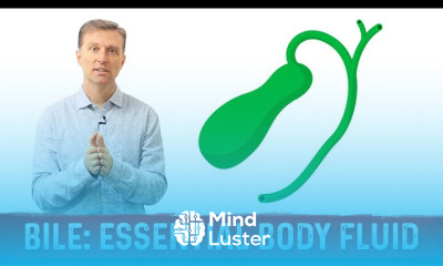 Gastroesophageal Reflux Disease