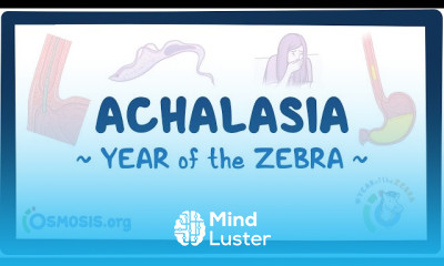 Autoimmune polyglandular syndrome types