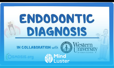 Intraoral Biopsy Techniques for Pemphigus