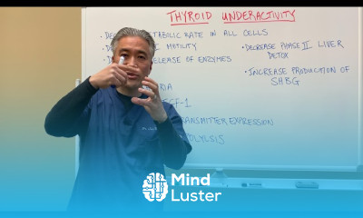 Hashimoto s Autoimmune Cerebellum Symptoms