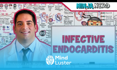 Infective endocarditis treatment strategies