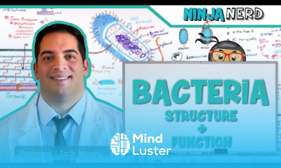 HIV and herpes treatment