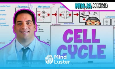 Endoplasmic Reticulum Structure and Function