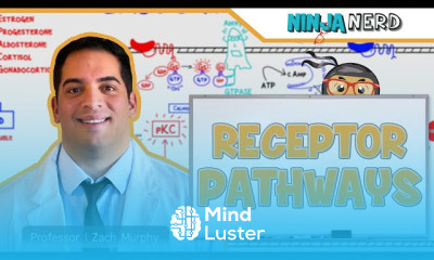 Thyroid Hormone Synthesis in Health