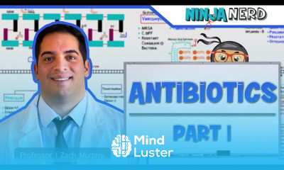 Cell Wall Synthesis Inhibitors