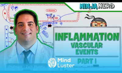 Immunology Fundamentals